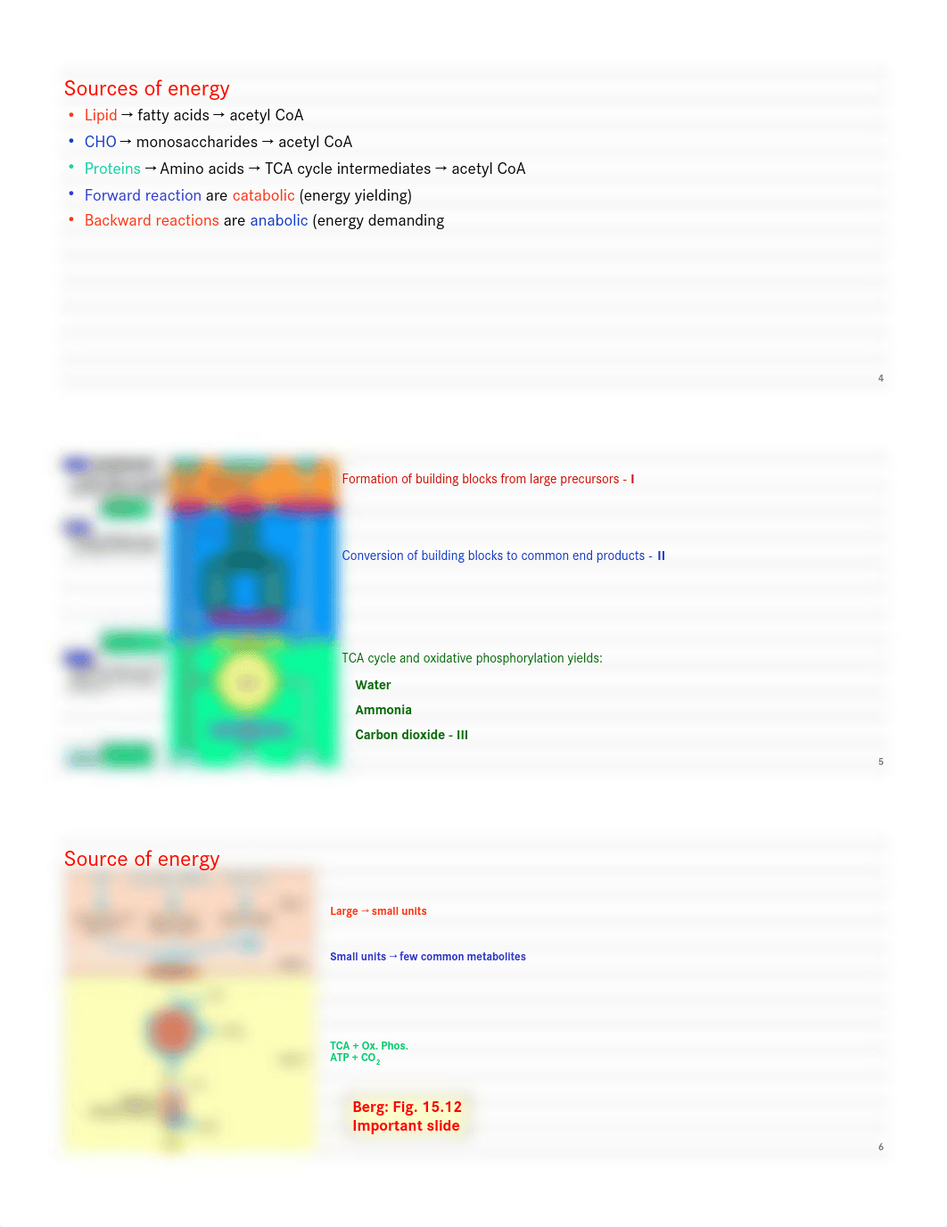 01.15 - Wu - Intro to Metabolism_data169715l_page2