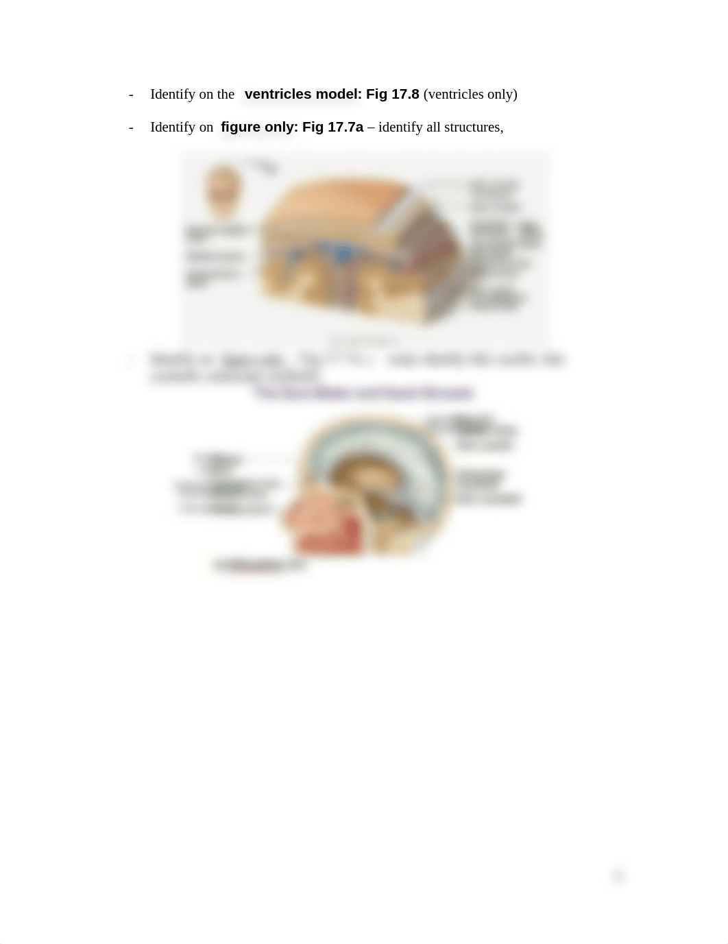 217 Lab Notes 02-10-2017_datco0cy44i_page5