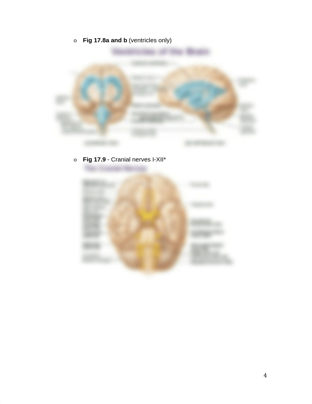 217 Lab Notes 02-10-2017_datco0cy44i_page4