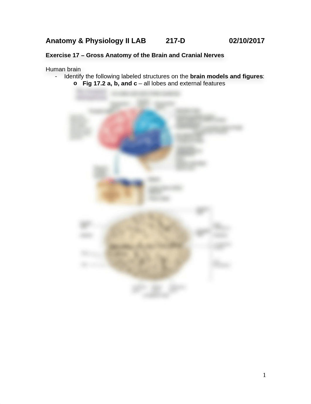 217 Lab Notes 02-10-2017_datco0cy44i_page1