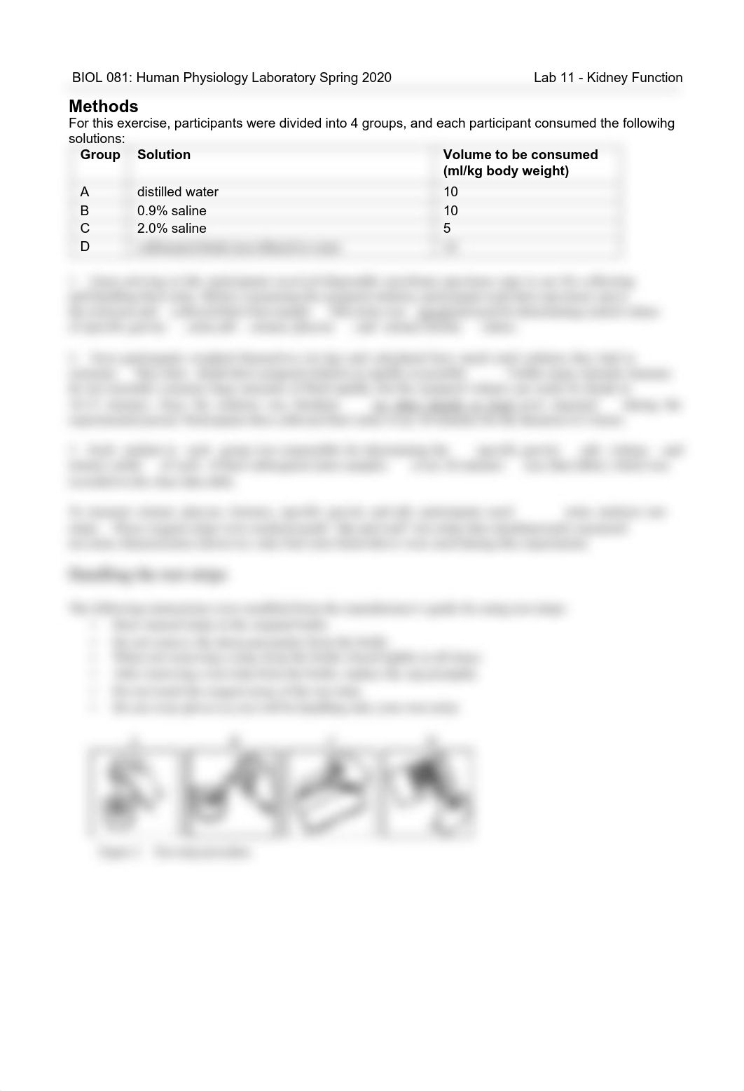 Lab11_Kidney_Handout_SP20.pdf_datd449dulb_page3