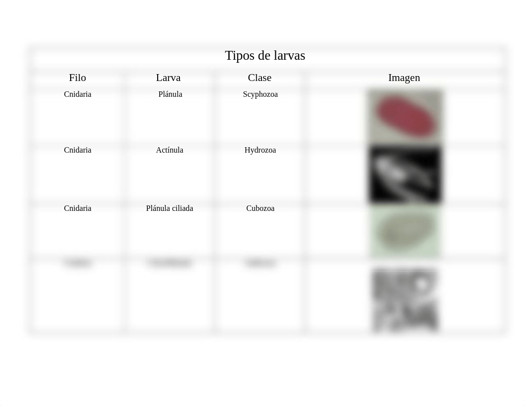 Estudio de larvas.docx_datdv50z5qb_page1