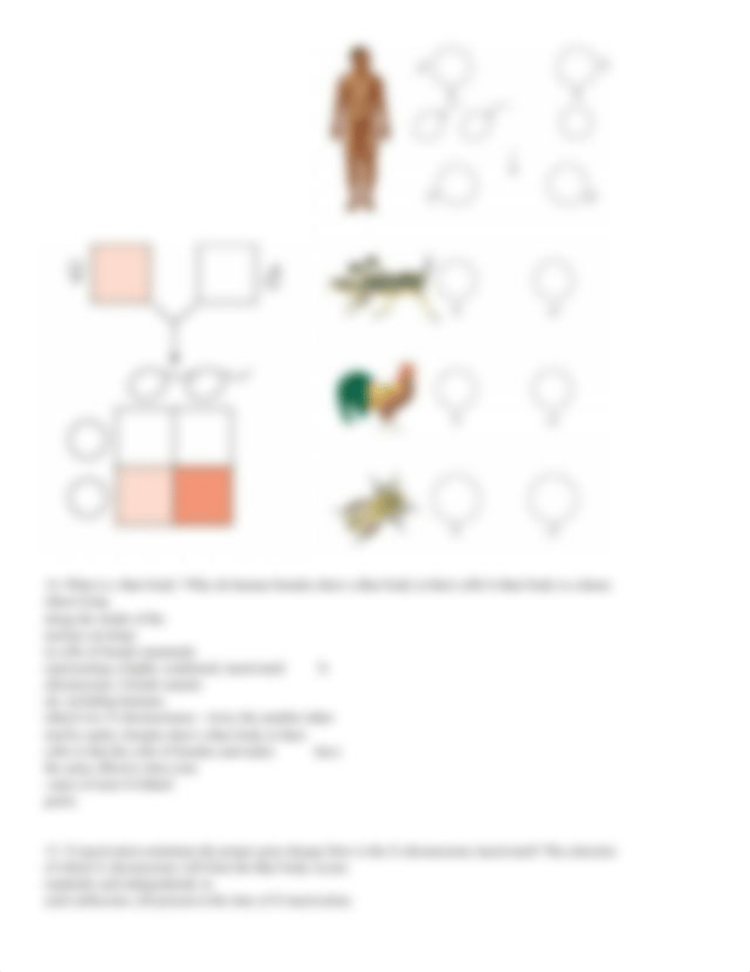 Copy of chapter 15 chromosomes.pdf_dathae5fhwy_page4