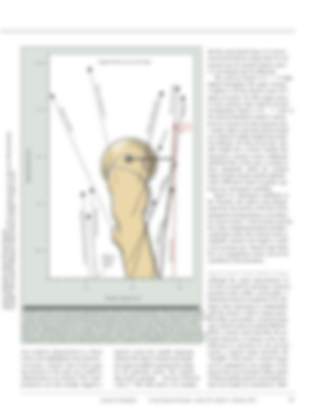 Kinesiology of the Hip.pdf_datrdrjvtui_page2