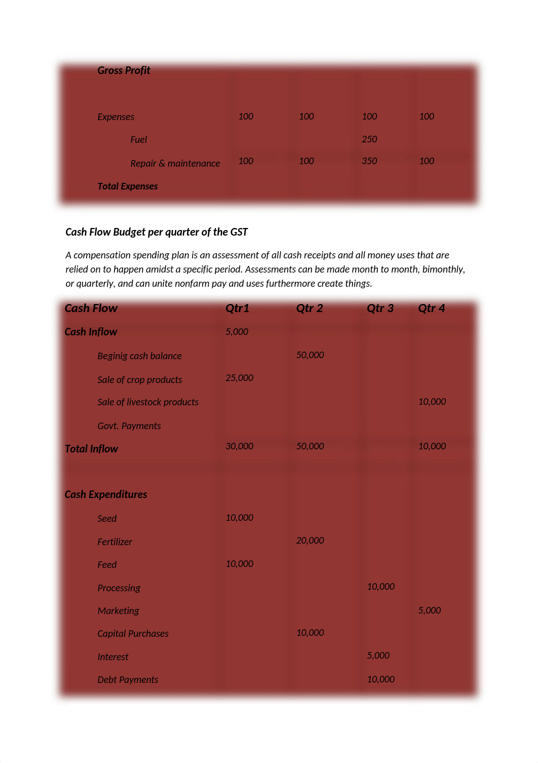 Manage_budgets_and_financial_plans_Asses.docx_dats8wh7l2o_page2