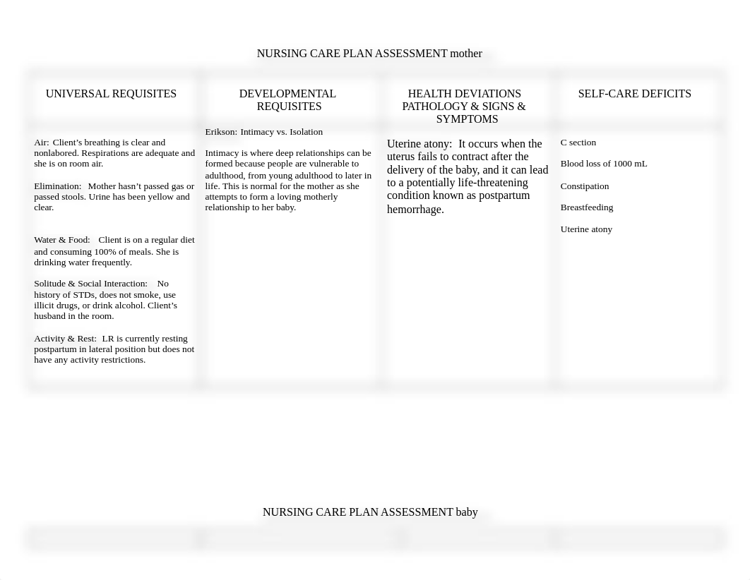 OB careplan attempt 1 .doc_datzdyptcj2_page2