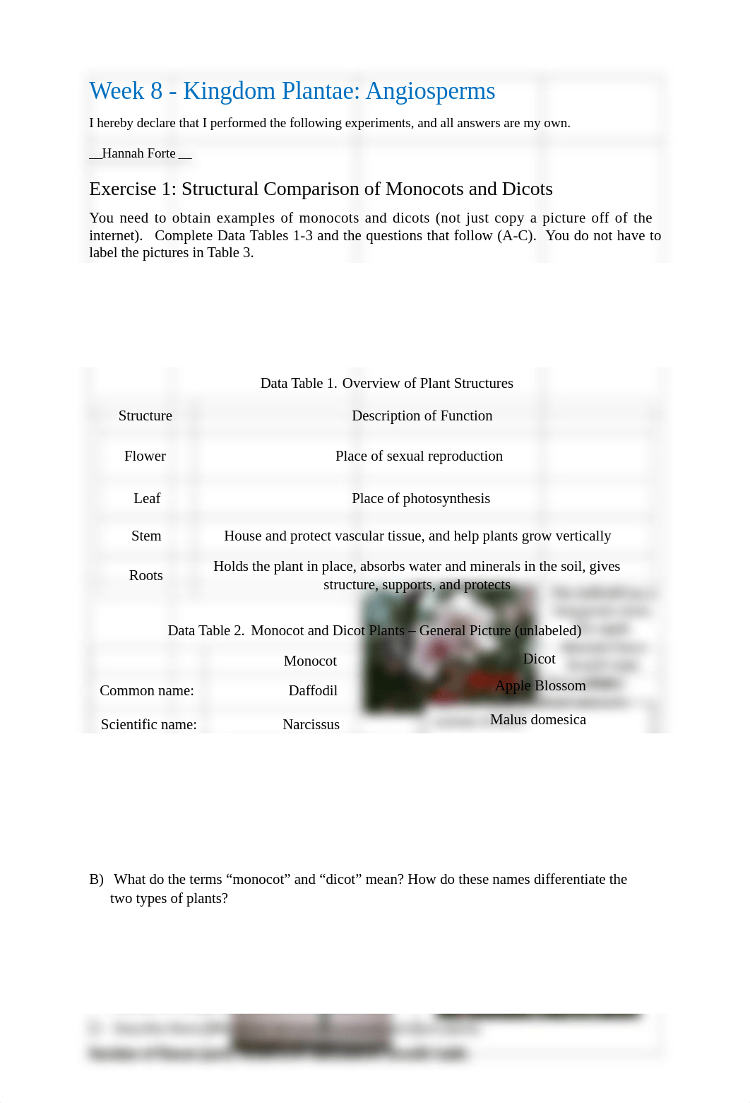 Lab Worksheet 8- Biology.docx_dau5d962e7g_page1