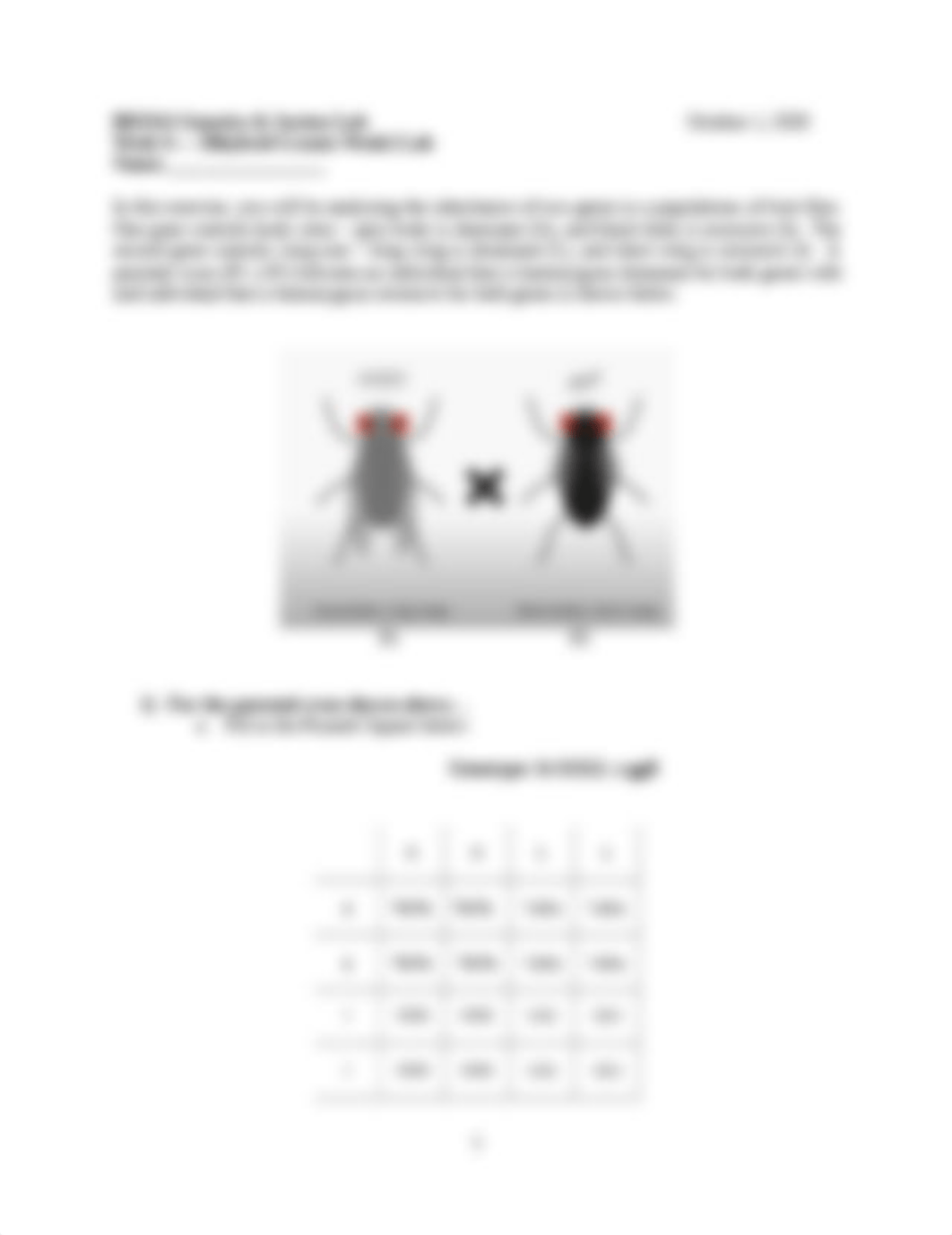 Week_6 BIO314 Dihybrid Crosses W1 worksheet.docx_daumx79bref_page1