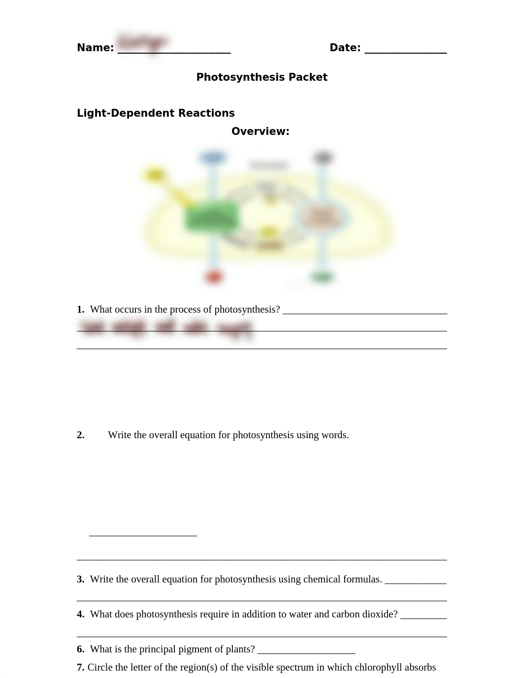 Photosynthesis Review Worksheet 2020.docx_daupacm33w3_page1