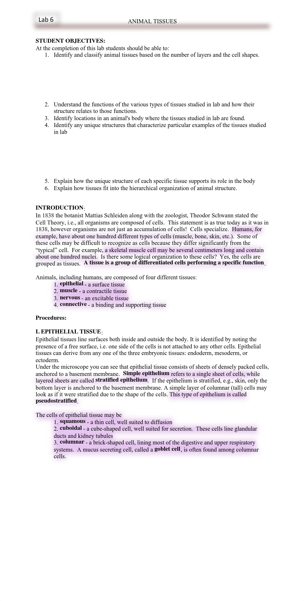 Lab 7_Animal Tissues.pdf_dauufbqlhd2_page1