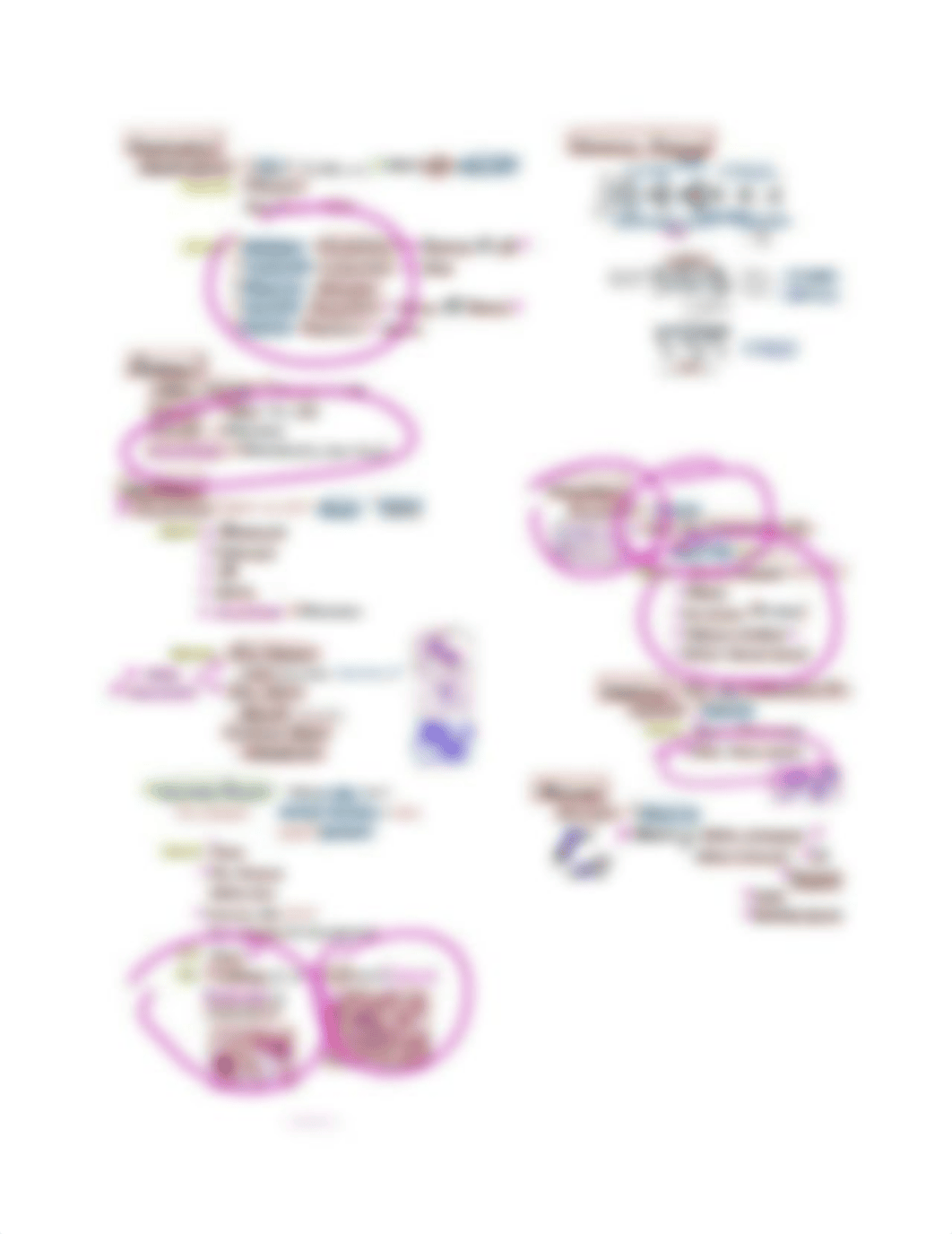 1. JOHNSON_NEOPLASTIC WBC DISORDERS STUDYSHEET.pdf_dauultsil03_page3