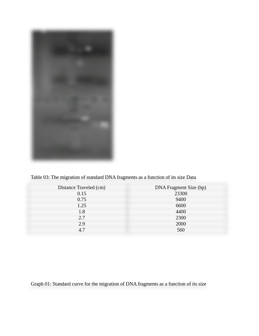 Lab 02-03-04 Report ~ Combined Noteboooks.docx_dauv39scfsg_page5