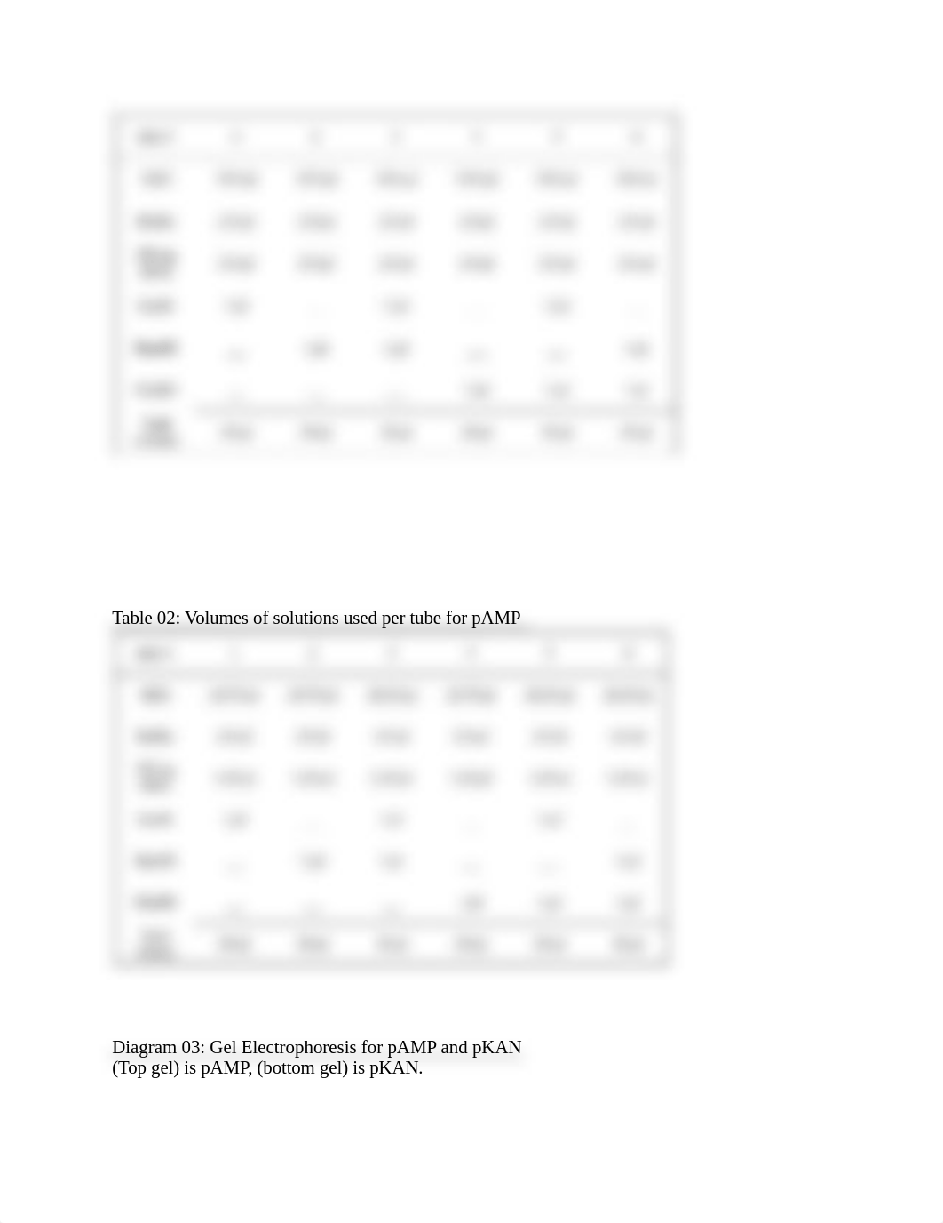 Lab 02-03-04 Report ~ Combined Noteboooks.docx_dauv39scfsg_page4