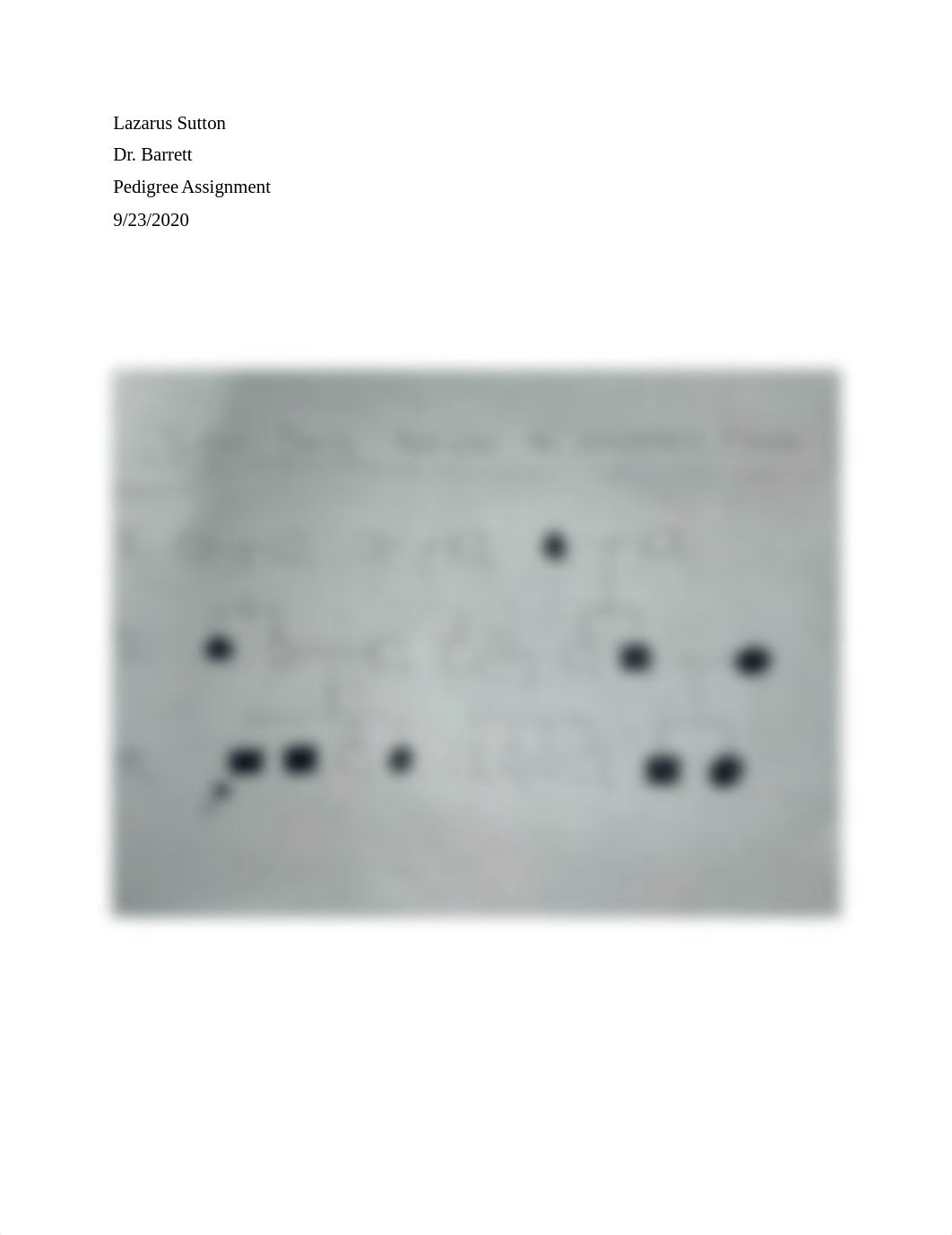 Genetics_Lab_Pedigree_Assignment_dauyrdsme4m_page1