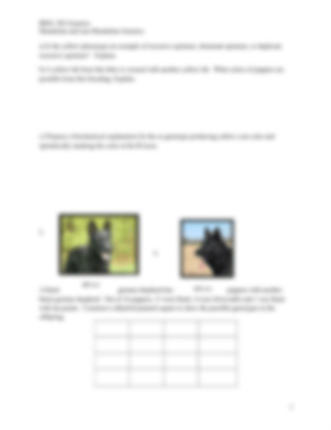 Coat Color in dogs worksheet.docx_dauzcto18d7_page2