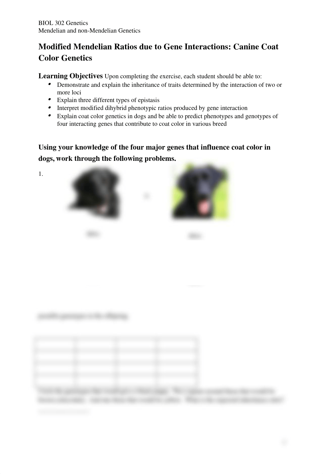 Coat Color in dogs worksheet.docx_dauzcto18d7_page1