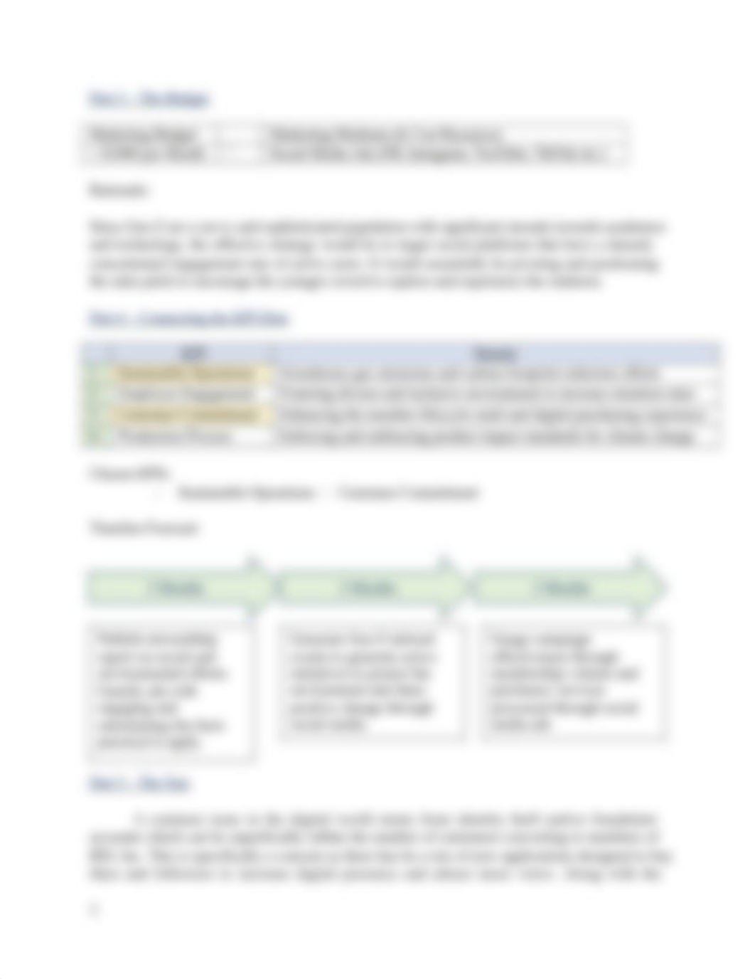 MGMT6805 - KPI_Marketing Plan.docx_dav400zcuo2_page3