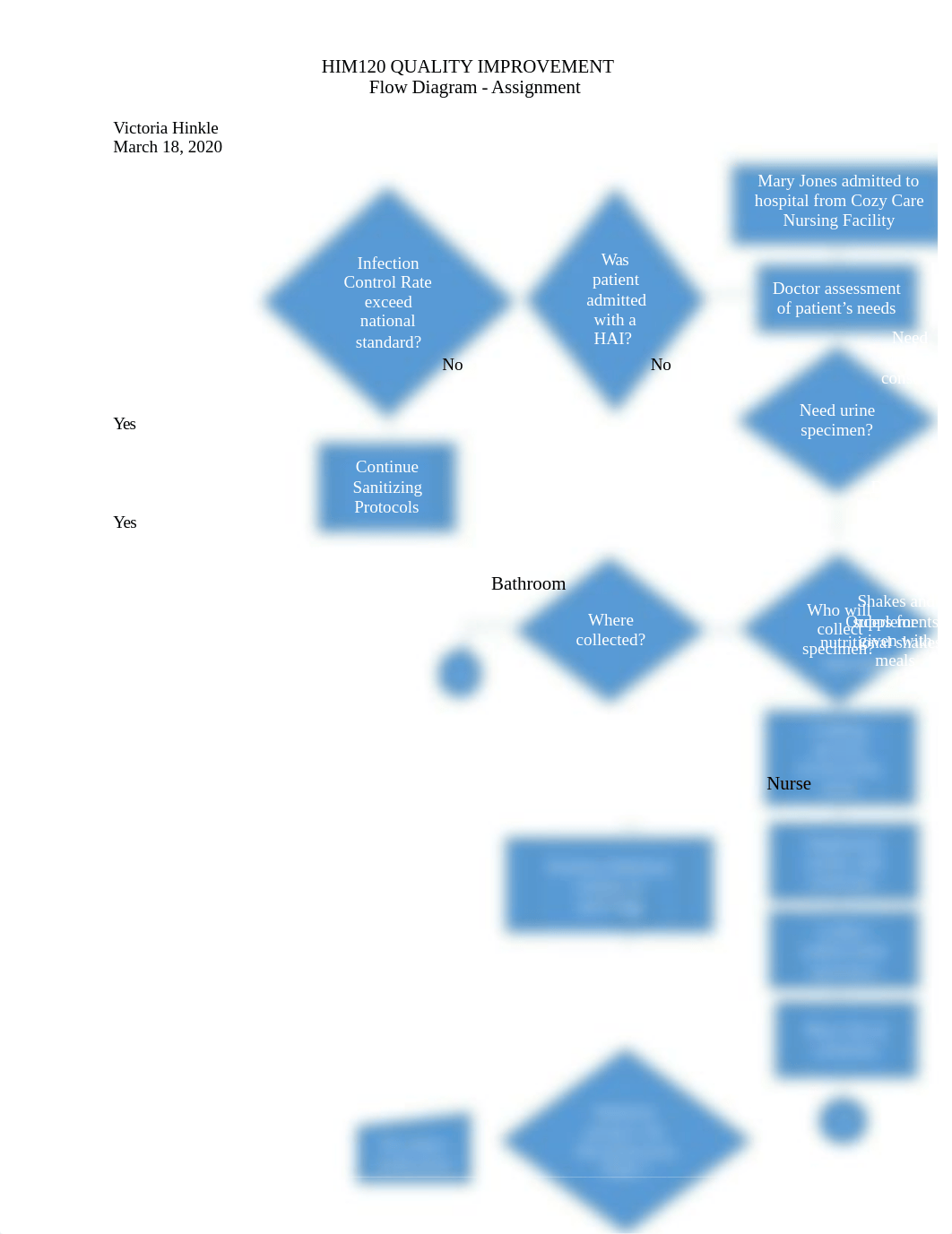 HIM120 HAI Flow Diagram Victoria Hinkle.docx_davaz88l690_page1