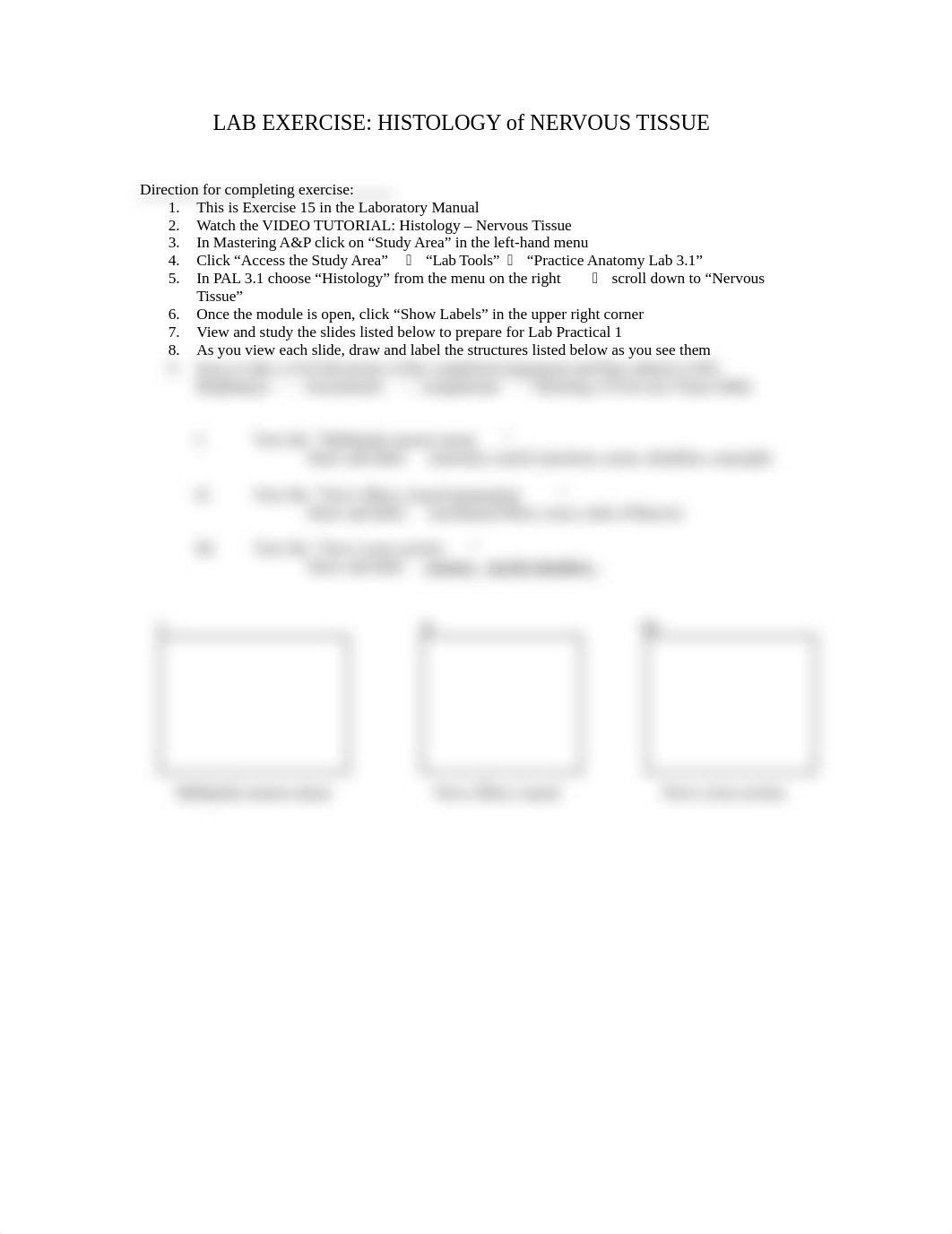 1 Nervous System Histology for PAL.doc_davf5v4og07_page1