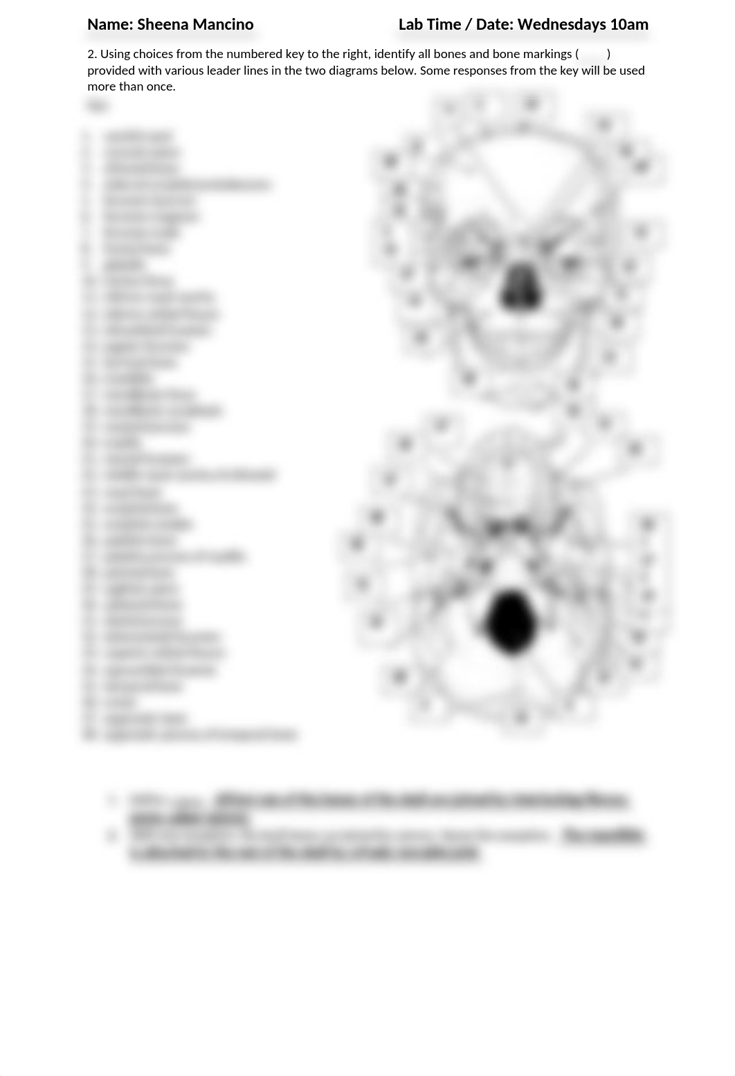 Lab assignment 3-1 (9-11).docx_davgktjb88i_page2