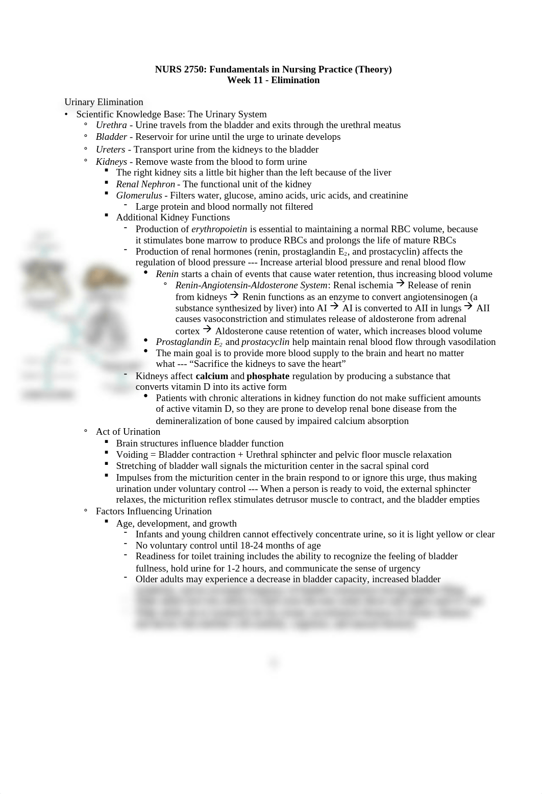 Elimination Notes.docx_davke9cyrxe_page1