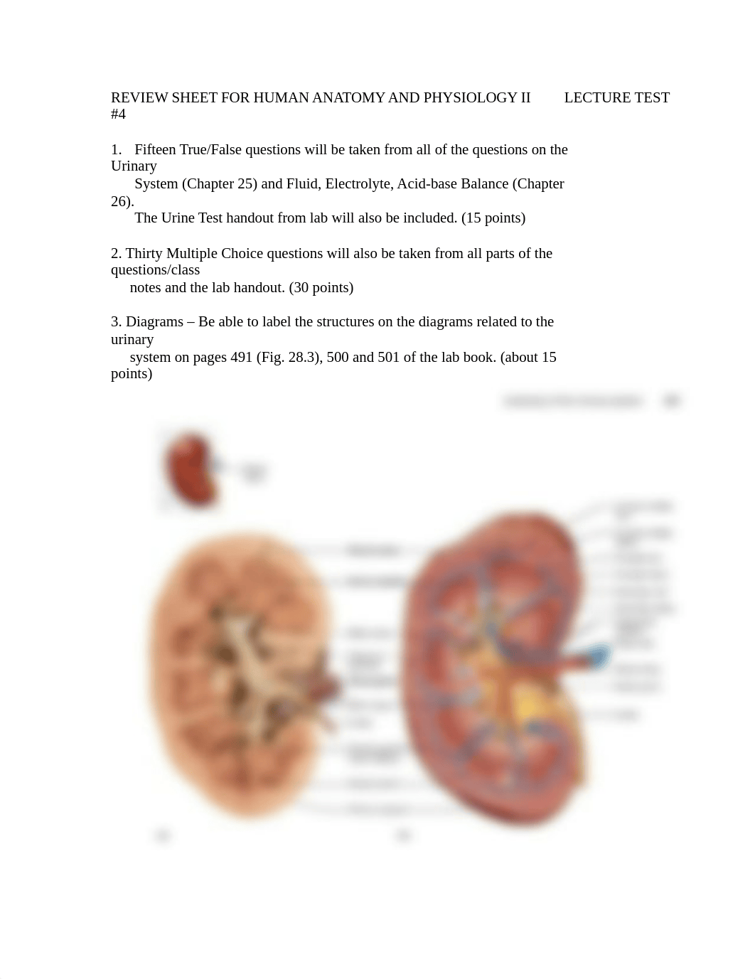 REVIEW SHEET FOR ANATOMY AND PHYSIOLOGY II     Test #4 (1).docx_davvfn16unu_page1