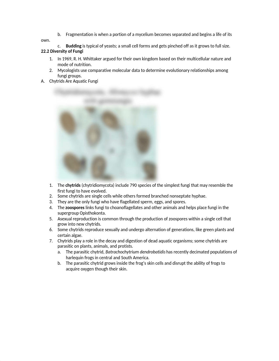 Ch22 fungi study guide.doc_davvj3zq1o1_page3