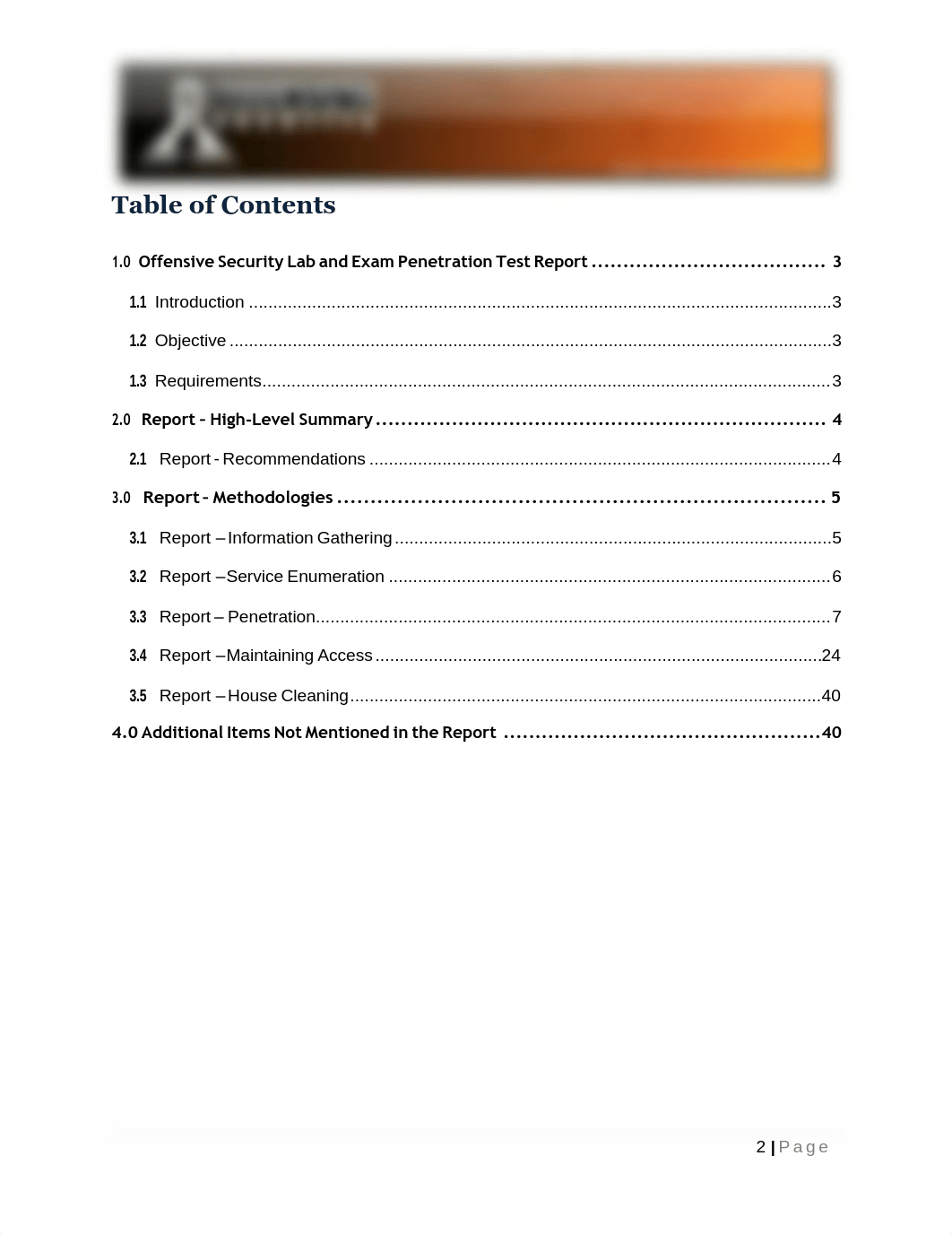 My OSCP Report.pdf_daw32hepced_page2