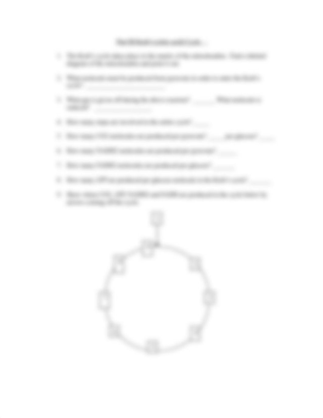 cellular_respiration_webquest (1).doc_dawcijilz7n_page3