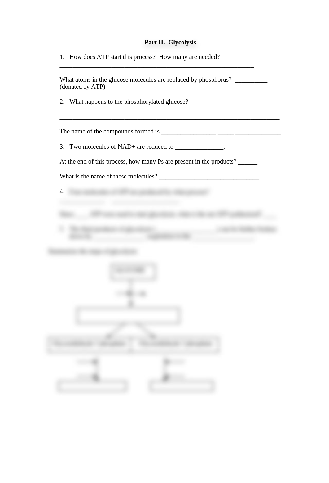 cellular_respiration_webquest (1).doc_dawcijilz7n_page2