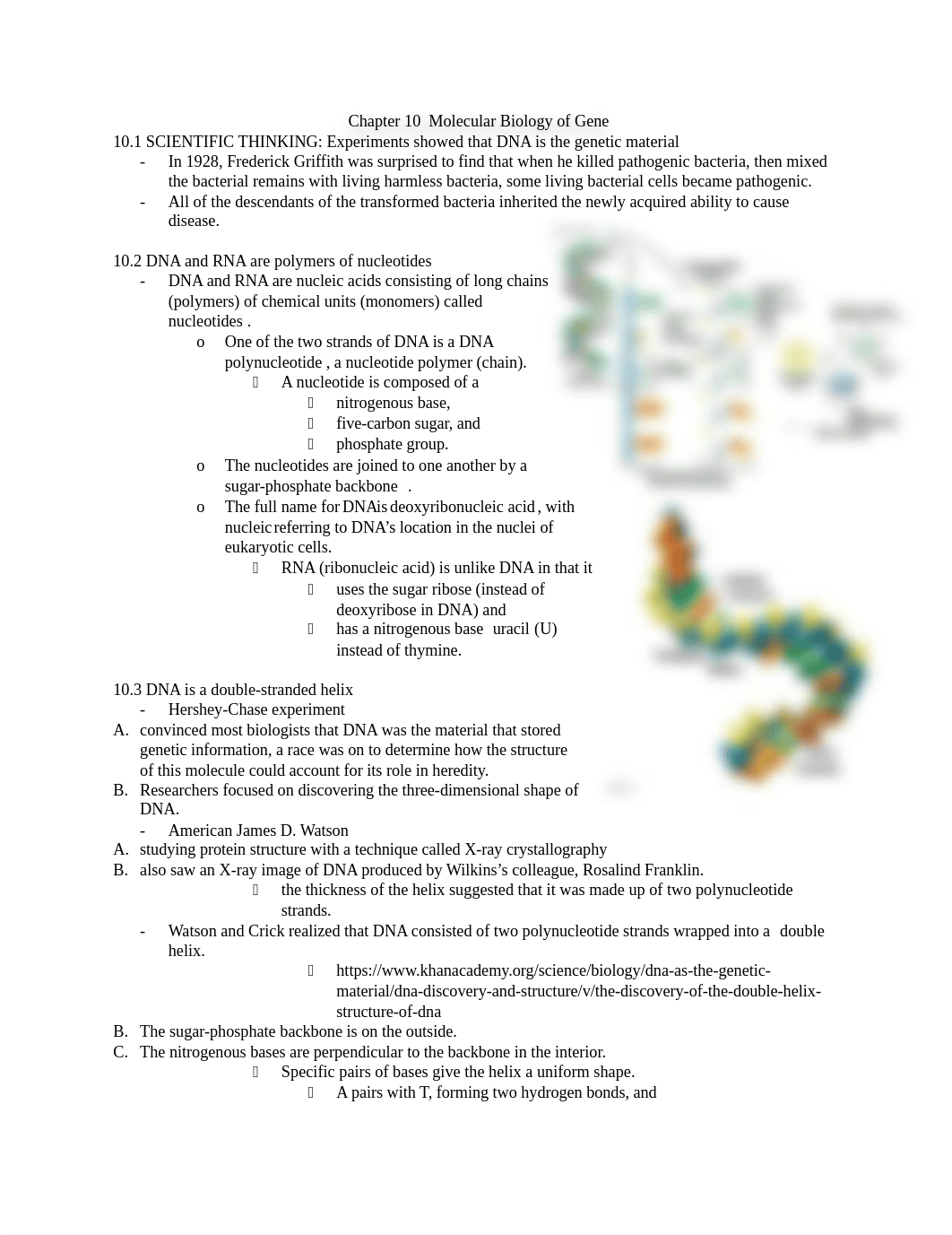 SCU bio week 4 lecture_dawfzuq0aum_page1