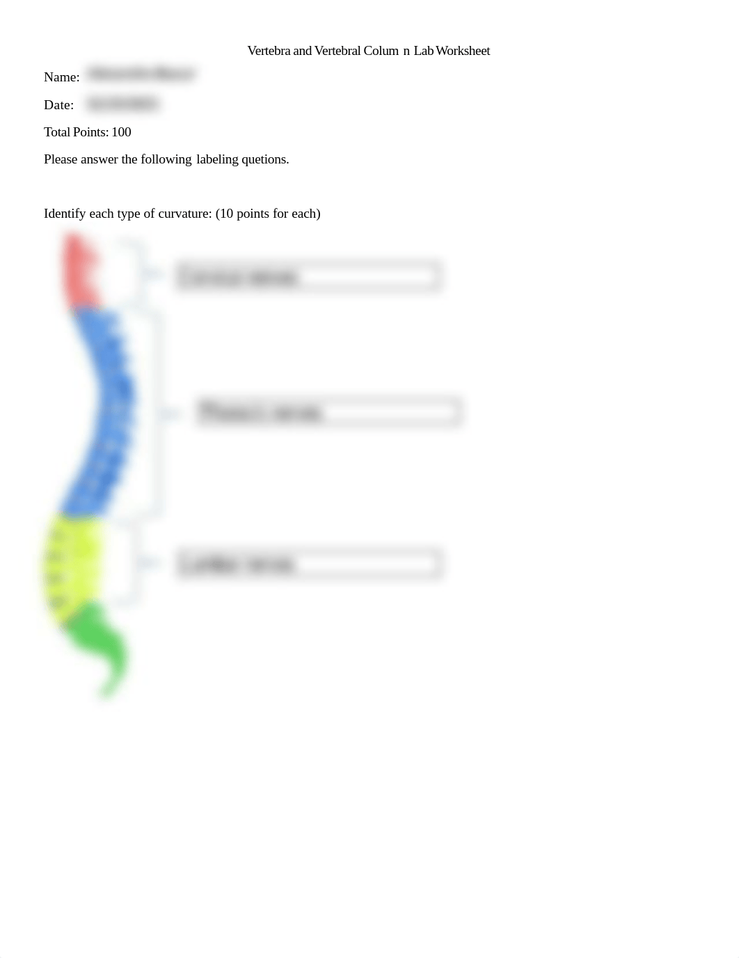 Vertebra+and+vertebral+column+lab+worksheet.pdf_dawiy9if8m6_page1