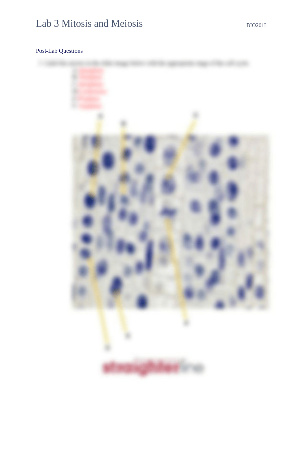 BIO201L+Lab+3+Upload+Document MT (1).docx.pdf_dawntjmie71_page5