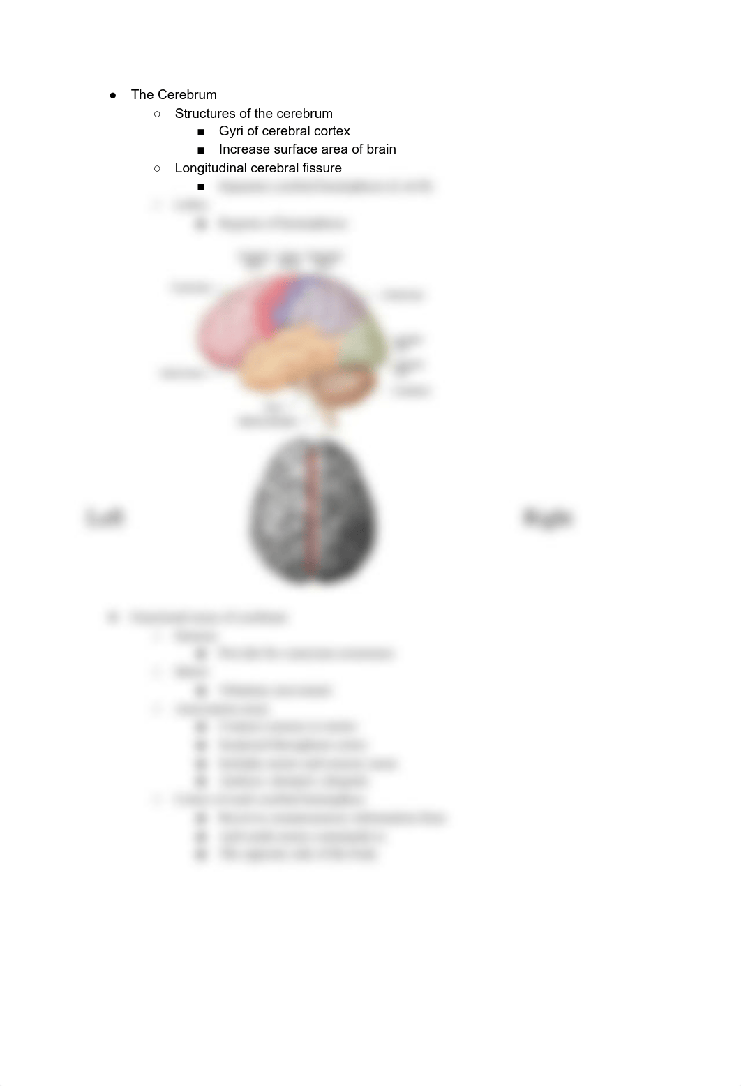 A&P Ch. 14 The brain and cranial nerves.pdf_dawybol72ds_page5