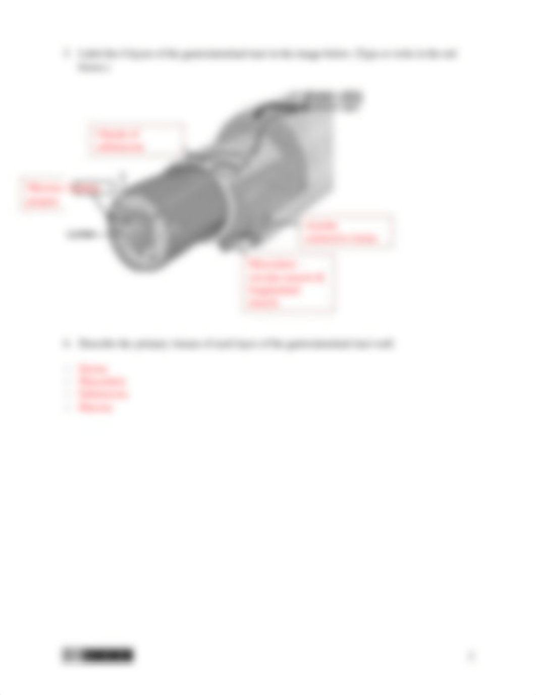 week 8 Digestive System Concept Check.docx_dax0jbcbz5g_page2