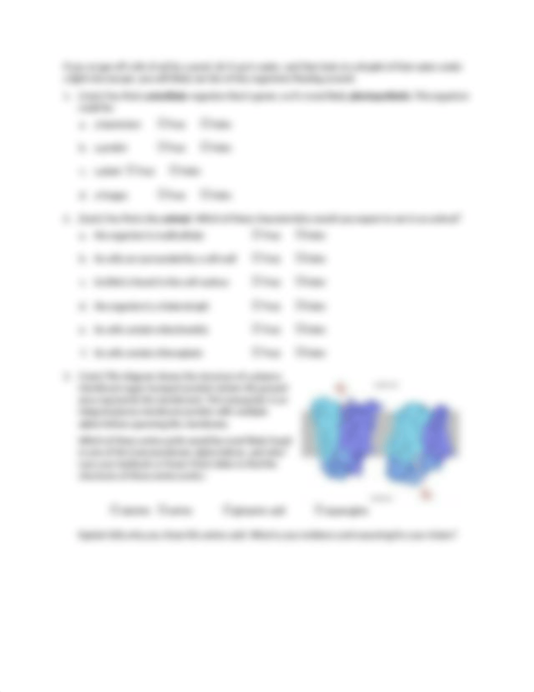 Module 3_Cell Structure and Function Assessment(1).docx_dax3jsir07d_page2