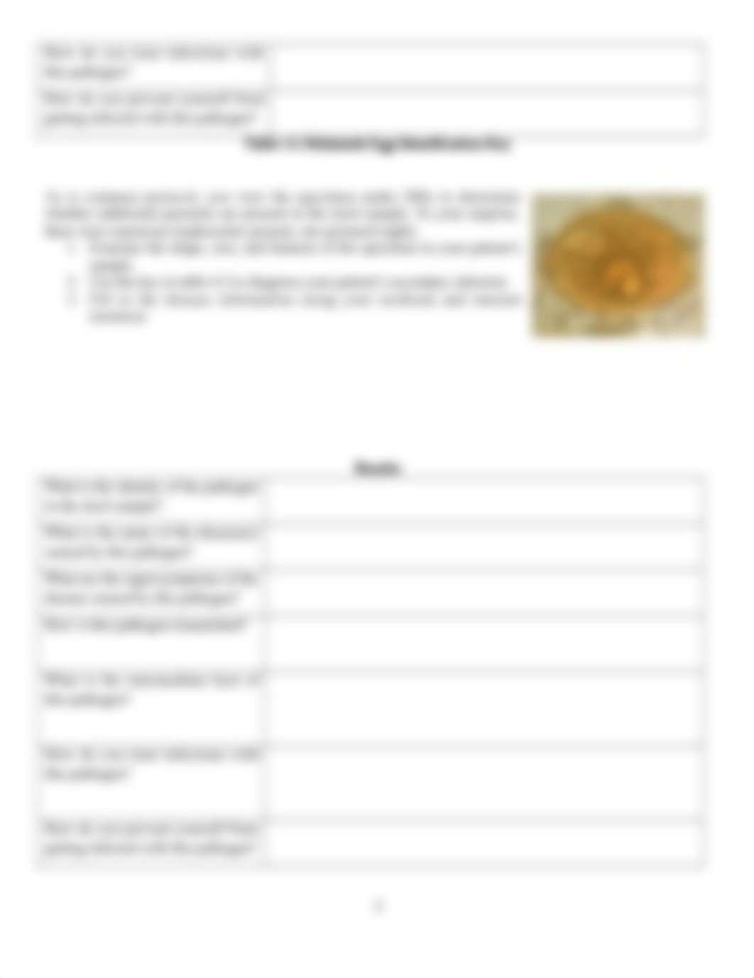 Lab 4 Simulated Parasitology Lab.docx_daxdmmu2iqu_page2