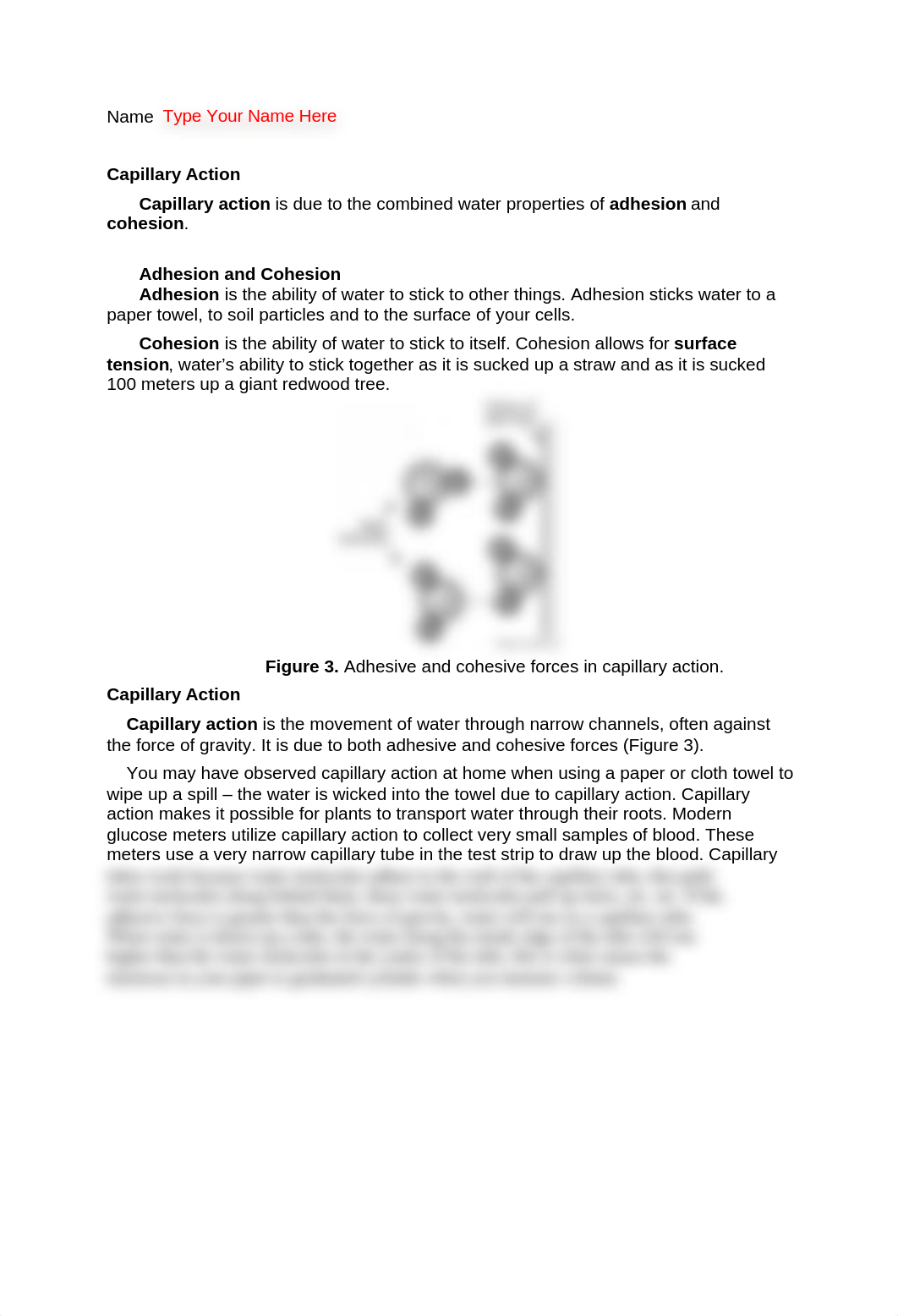 Capillary Action Assignment.docx_daxgicgyxf5_page1