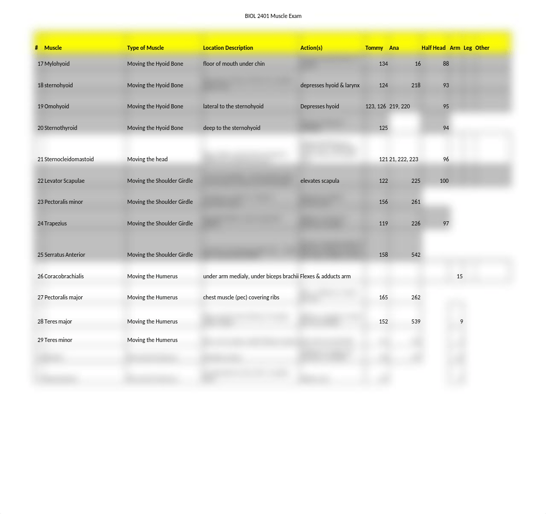 Muscles Exam Material.xlsx_daxia562k2t_page2