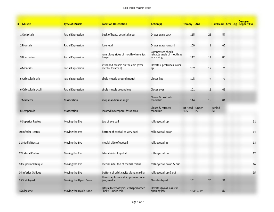 Muscles Exam Material.xlsx_daxia562k2t_page1