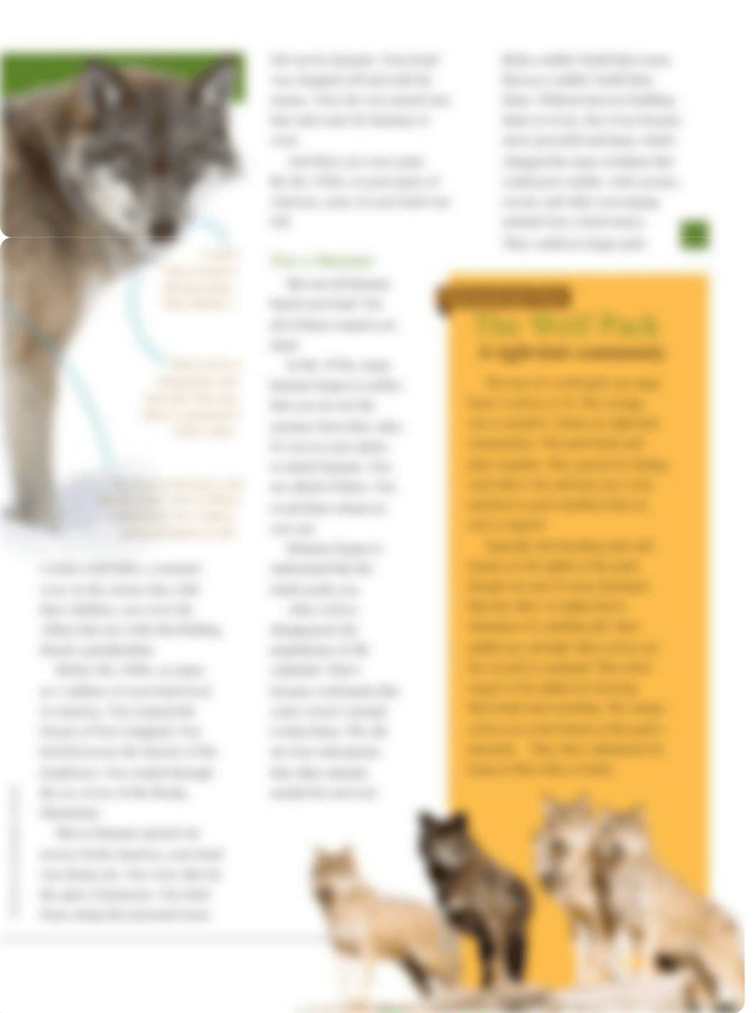 Saving_Americas_Wolves.pdf_daxo133em6e_page4