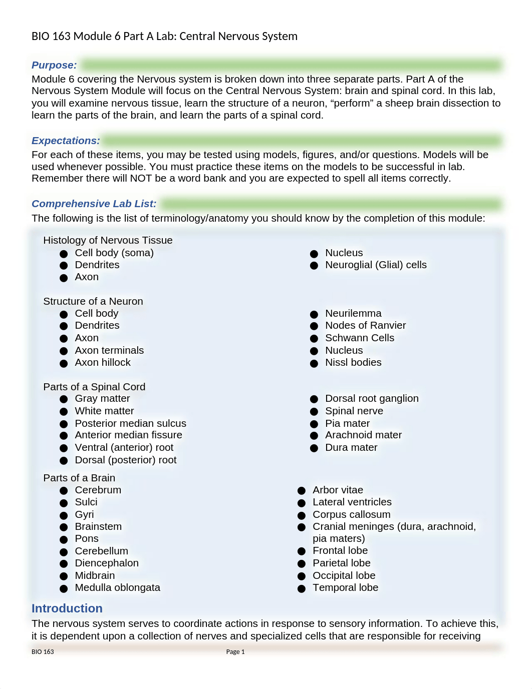 CNS lab.docx_day455dnxbe_page1