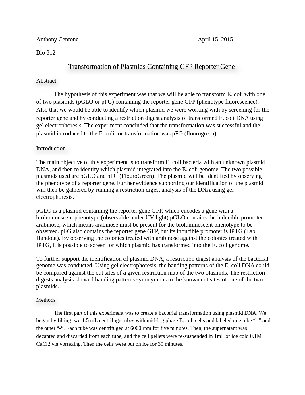 E. coli lab report final_day8sm5854j_page1