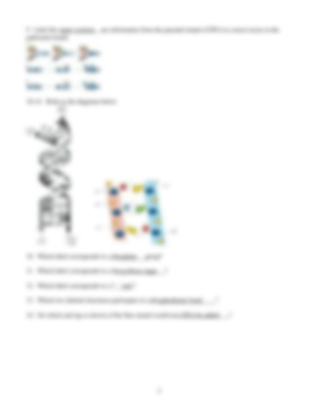 CH 2-14 lecture Worksheets .docx_dayauwvha3s_page2