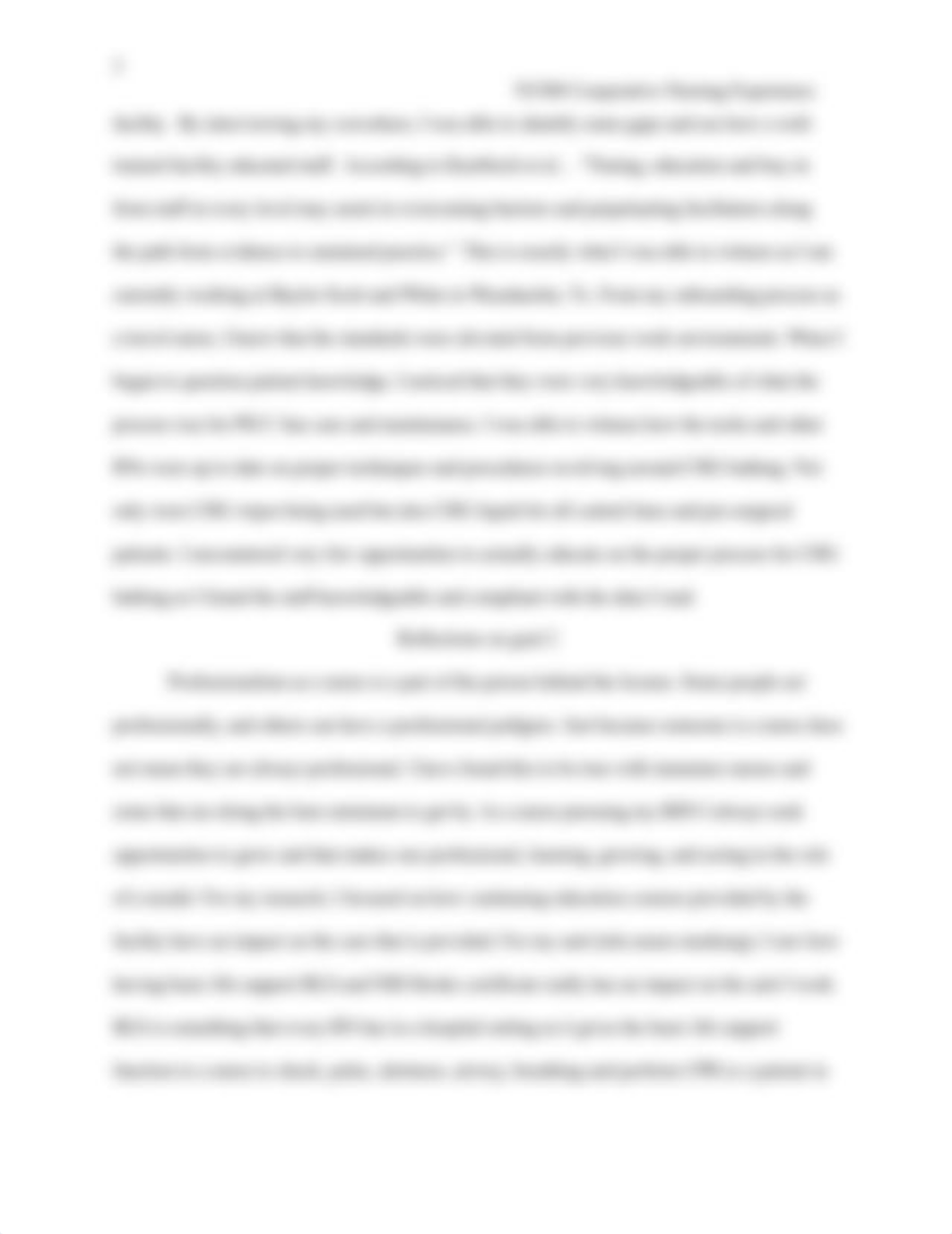 IVANCUELLAR_Co-Op_Reflective_Essay.docx_daycdho2696_page3