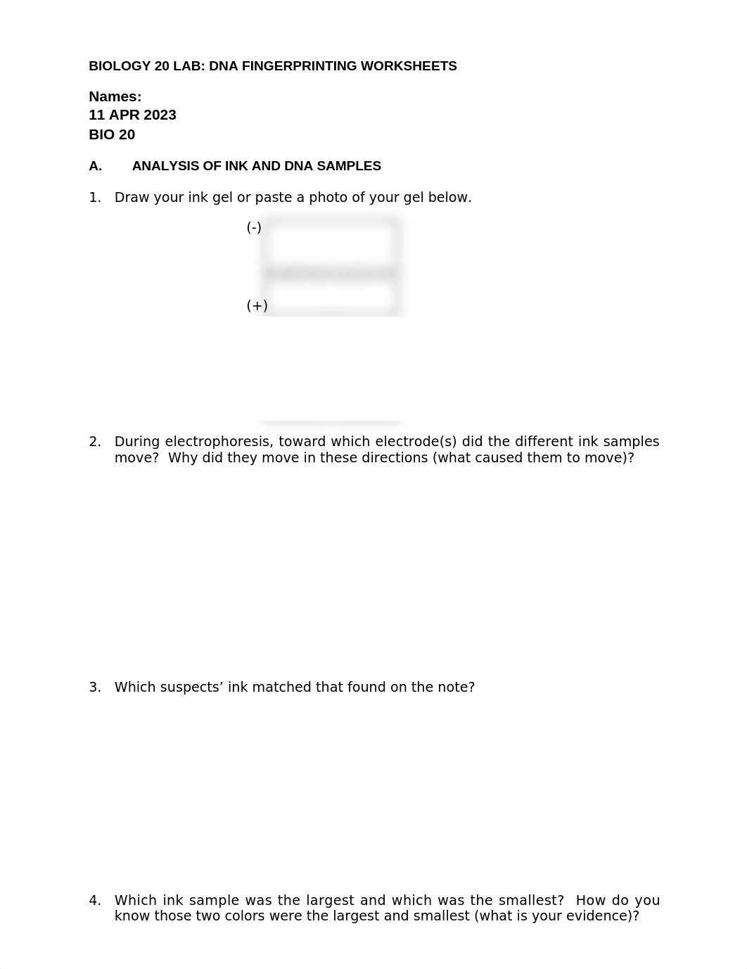 DNA Fingerprinting Worksheet.docx_dayfh0atk3a_page1