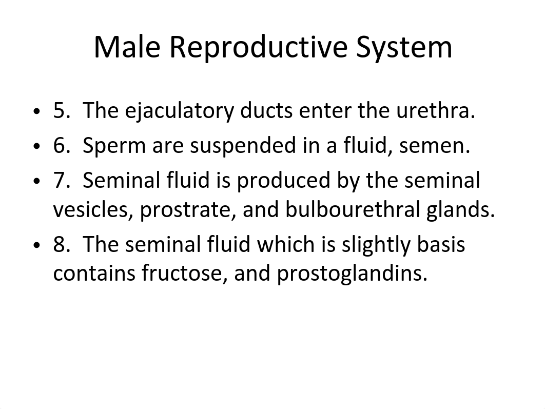 Chapter 16 - Reproductive System - Notes_daypafh398k_page4