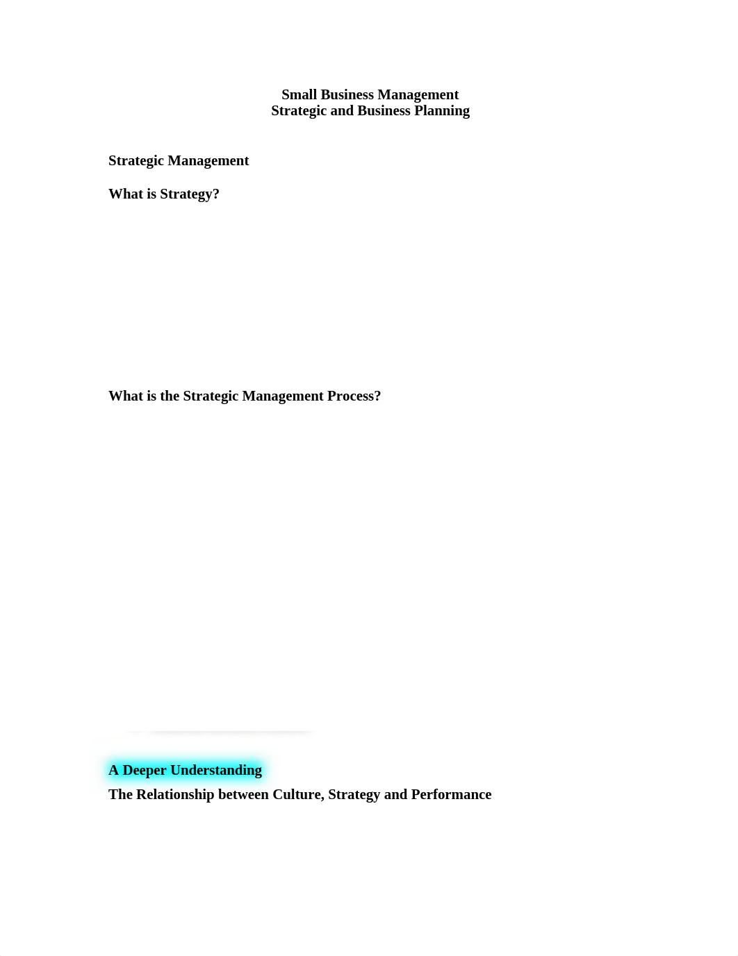 Small Business Management Strategy Lecture (1).doc_dayxfl49hny_page1