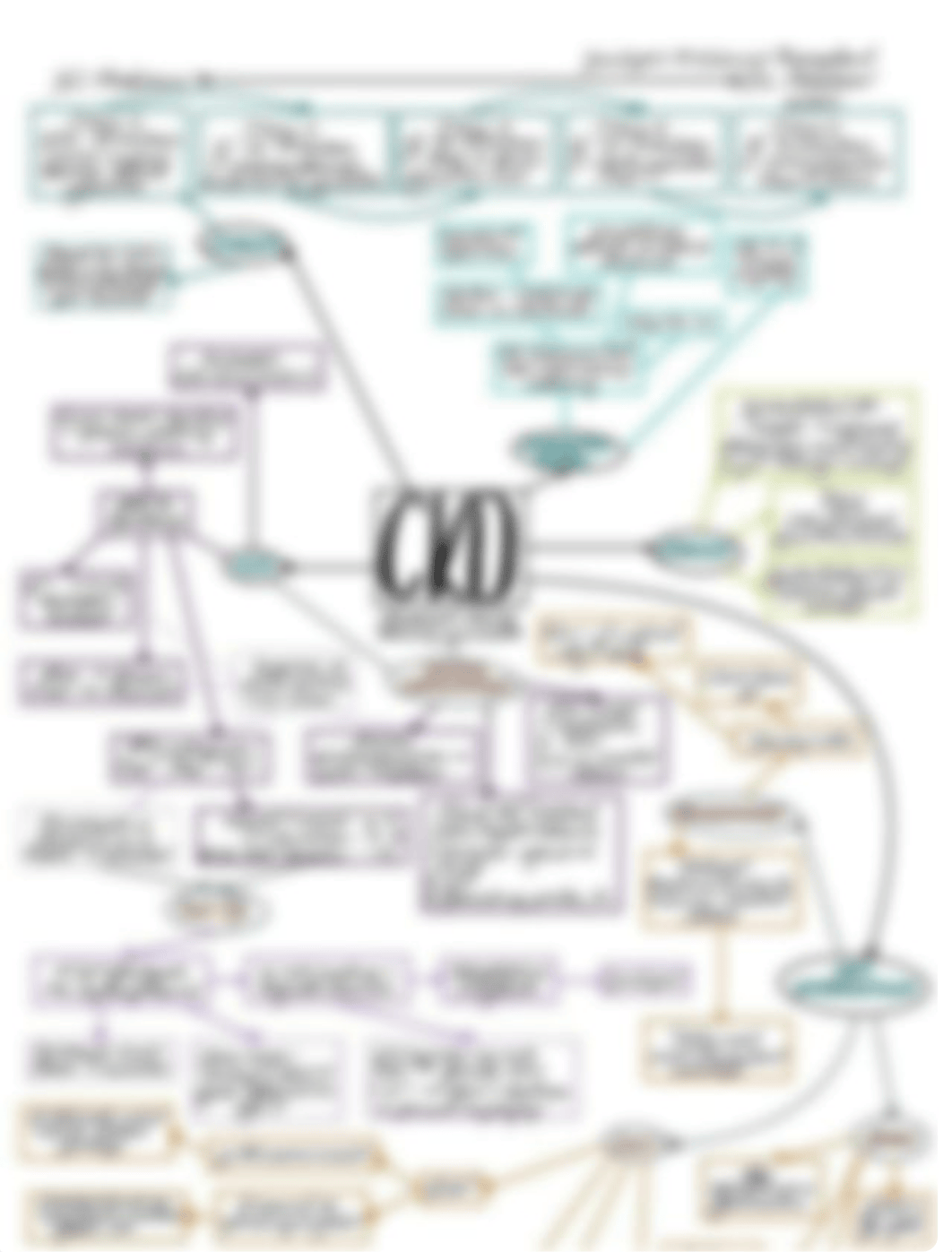 AKI vs CKD Concept Map.pdf_daz4c3q1kte_page2