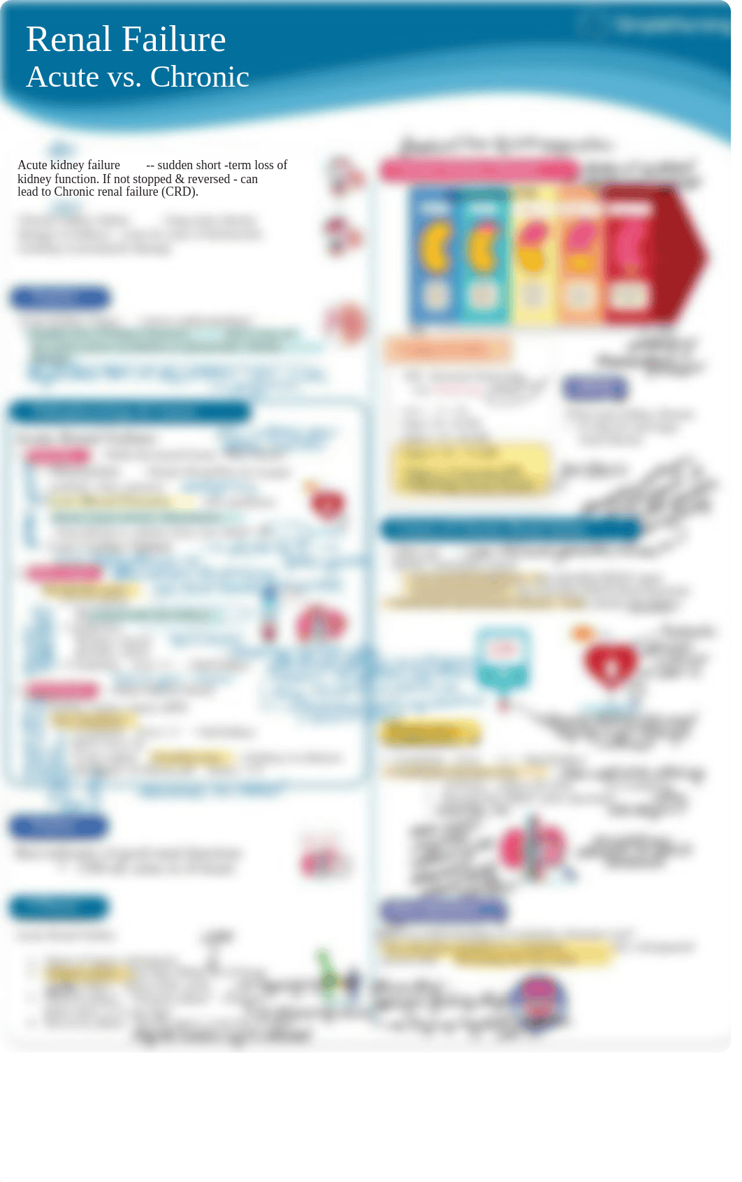 AKI vs CKD Concept Map.pdf_daz4c3q1kte_page4